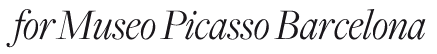 for Museo Picasso