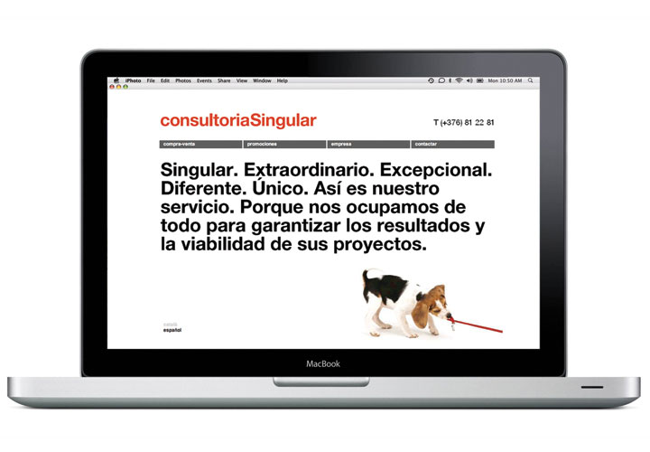 Consultoria Singular / Real estate consultancy. 2006