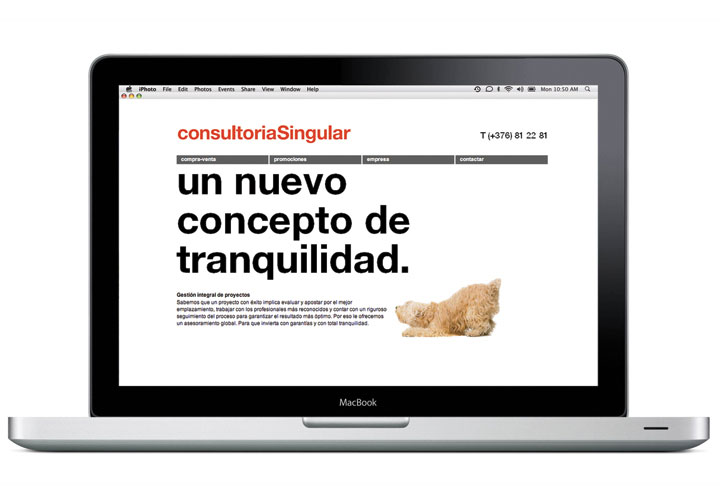 Consultoria Singular / Real estate consultancy. 2006