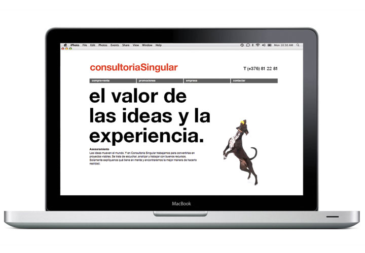 Consultoria Singular / Real estate consultancy. 2006